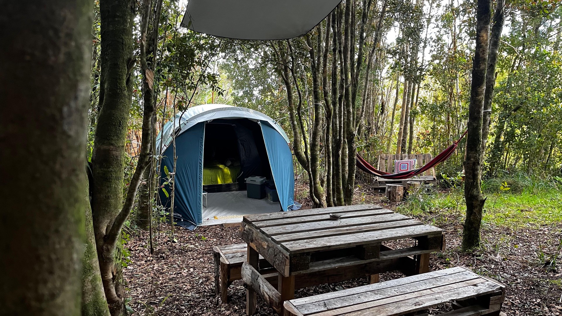 Carpa Kurruf equipada en Ko Glamping, con mesa, asientos y hamaca en bosque nativo.