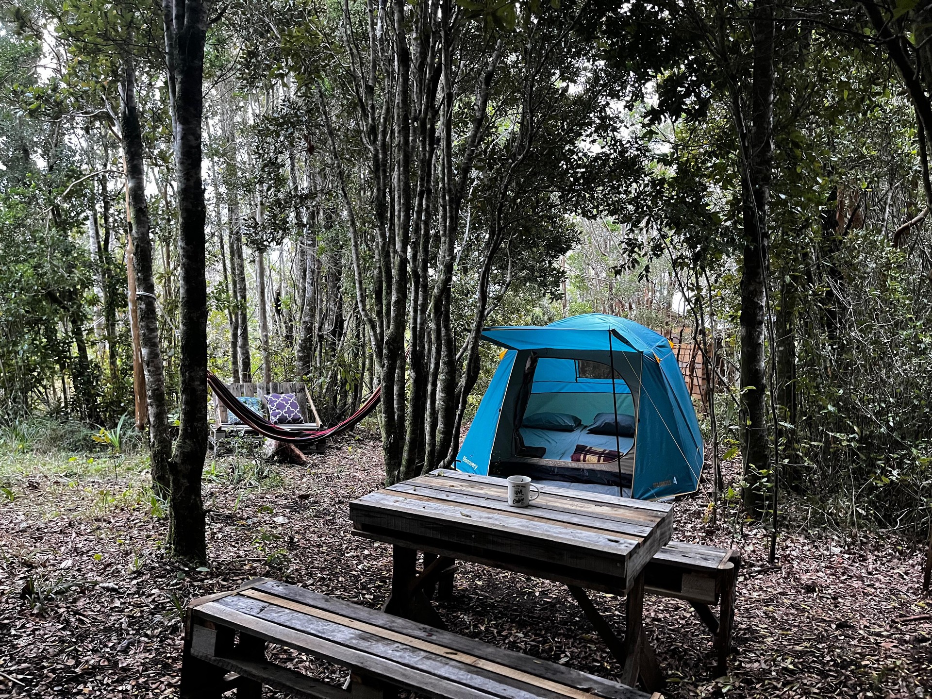 Carpa Lemu equipada en Ko Glamping, con mesa, asientos y hamaca en entorno de bosque nativo.