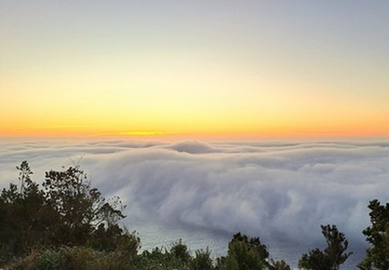 Vista al océano desde altura en Ko Glamping, Costa Valdiviana, durante atardecer.