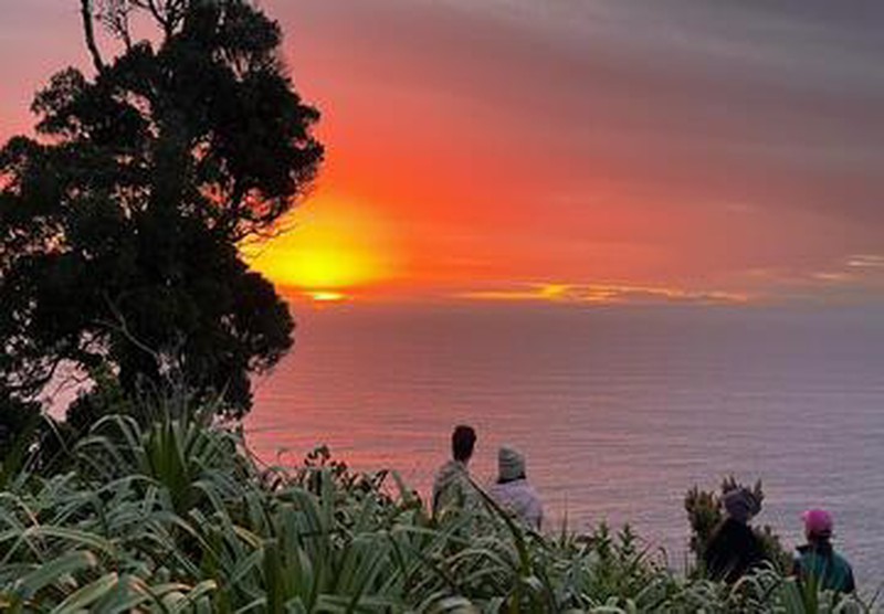 4 personas de espaldas mirando un atardecer colorido frente al mar desde las alturas, rodeados de vegetación de la Selva Valdiviana.