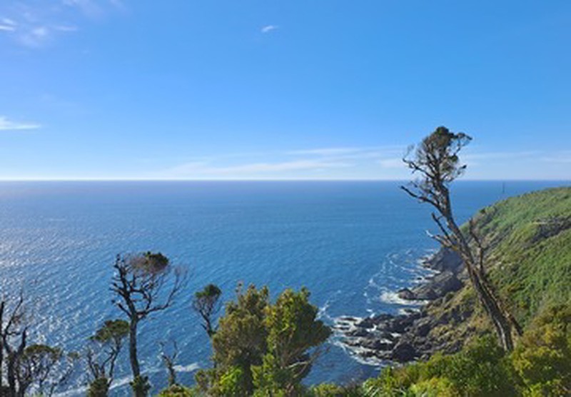 Vista panorámica del Océano Pacífico desde acantilado en Ko Glamping, Costa Valdiviana.